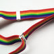 Rainbow Gay Suspendes