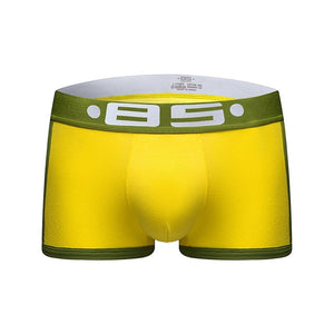 brand mens boxers cotton sexy men underwear mens underpants male panties shorts U convex pouch for gay B0068