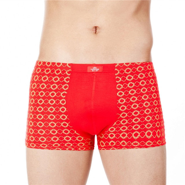 Fashion Underwear Men Boxers Underpants Sexy Print Man'S Pants For Men –  gaypridehub